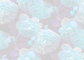 ✾109✾