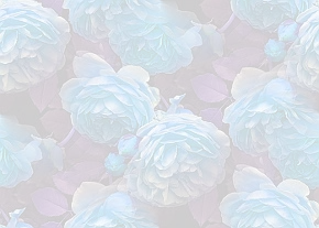 ✾110✾