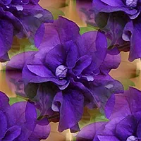 018
