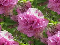 022