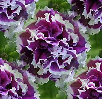 028