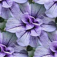 029