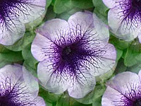 032