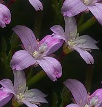 037