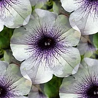 044