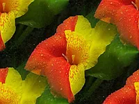053