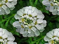 054