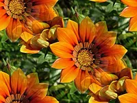 058