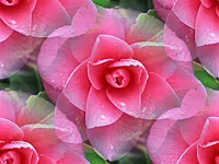 061