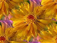 062