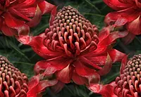 063