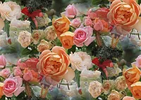 064