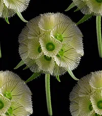 084