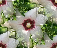 134