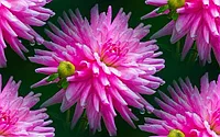 180