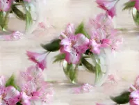806