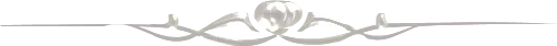 ✾41✾