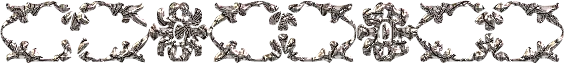 ✾47✾