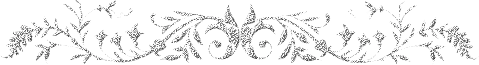 ✾53✾