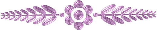 ✾66✾