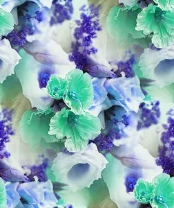 ✾002✾