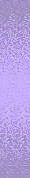 ✾106✾