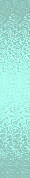 ✾097✾