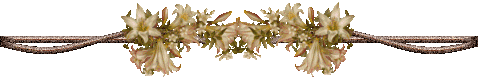 ✾✾