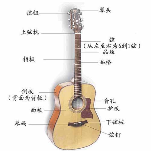 吉他基本构造。