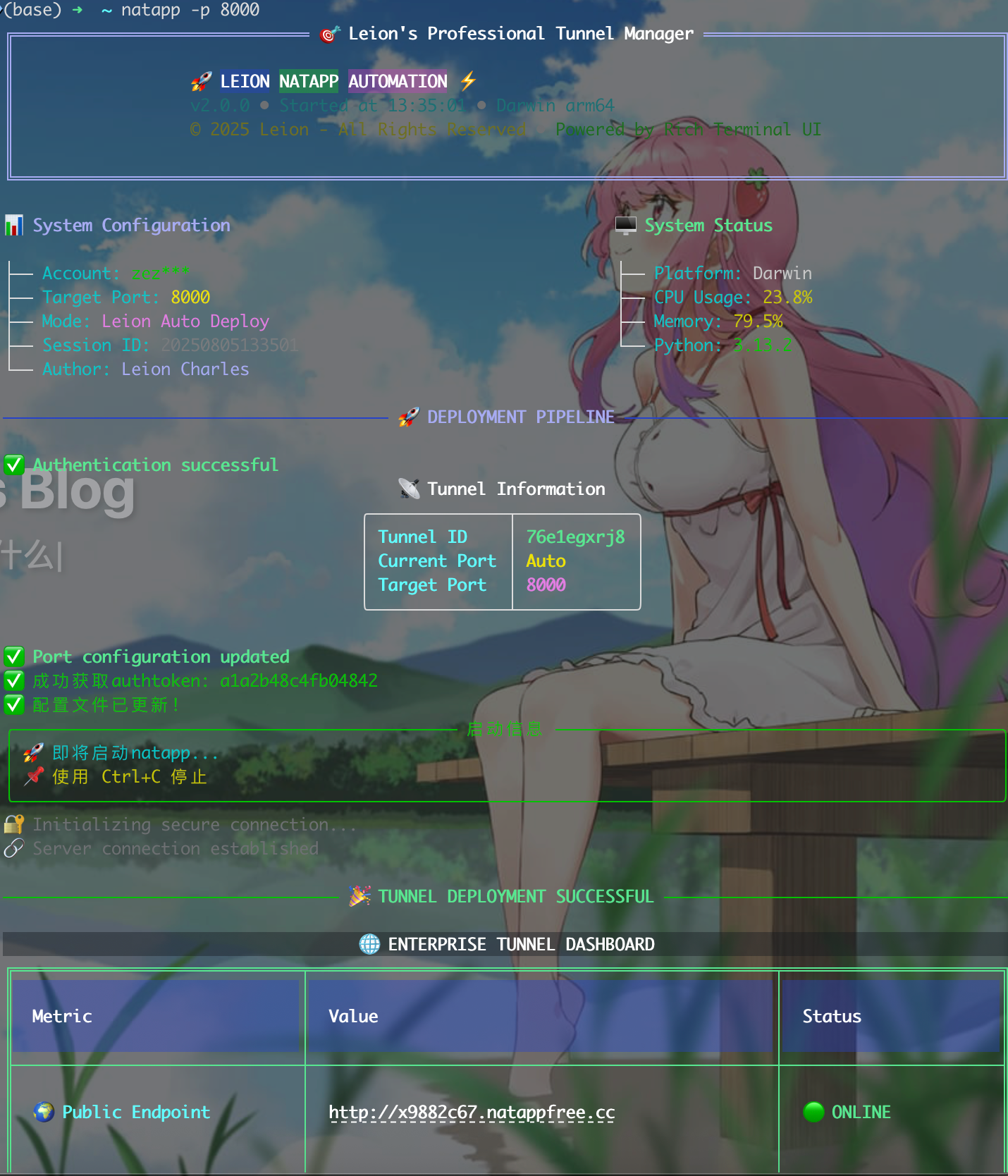 image-20250805133538346