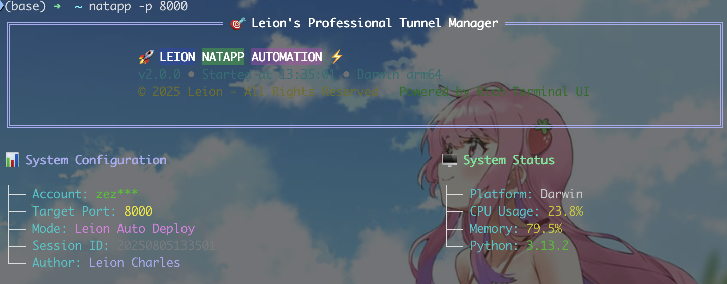 image-20250805133626432