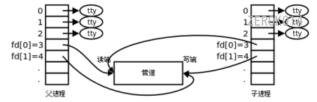 image-20220704125814879