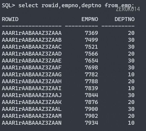 image-20221026173208069