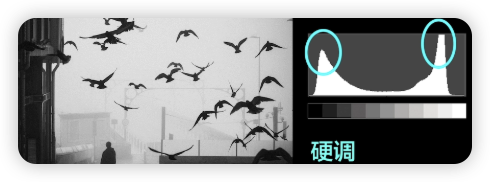 image-20250813095310856