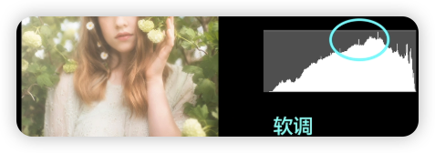 image-20250813095324616