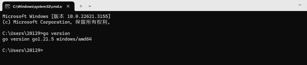 image-20240304151941136