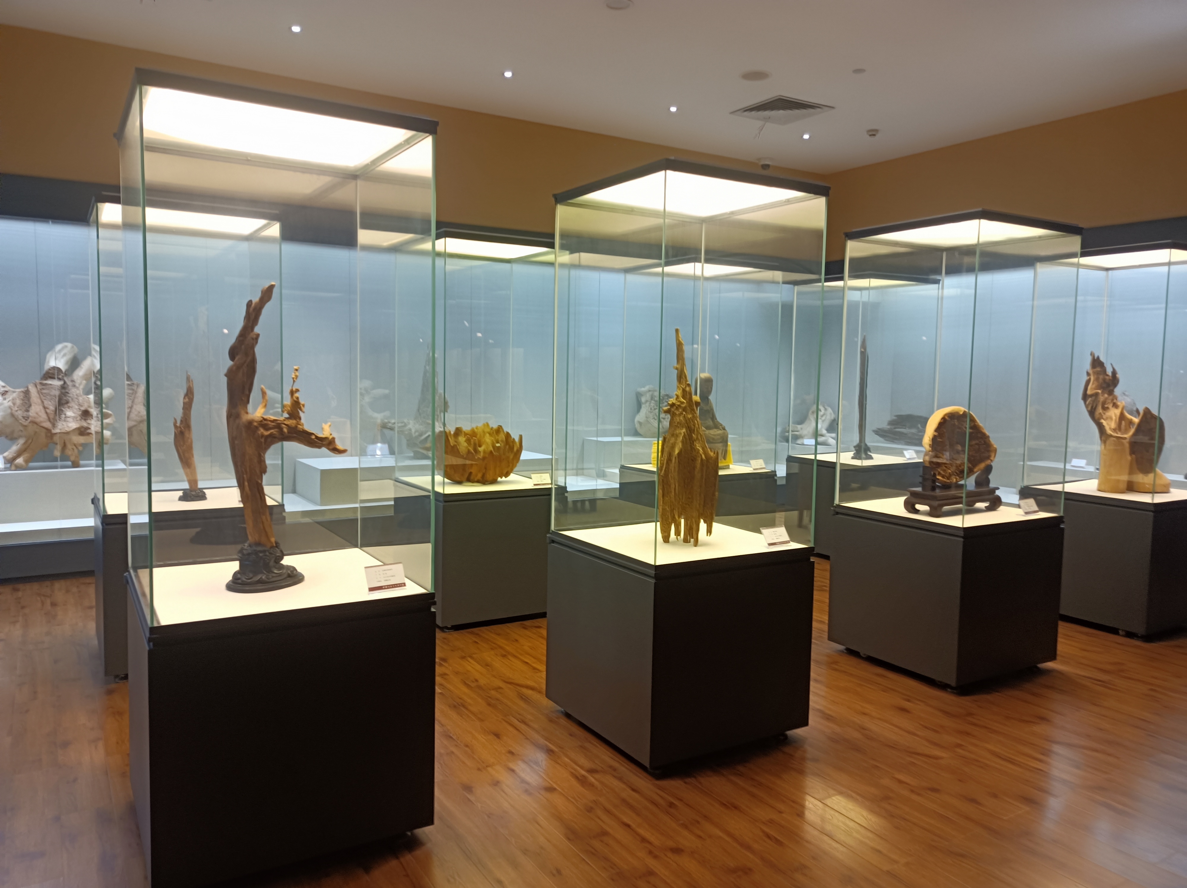 微信图片_20231114144059