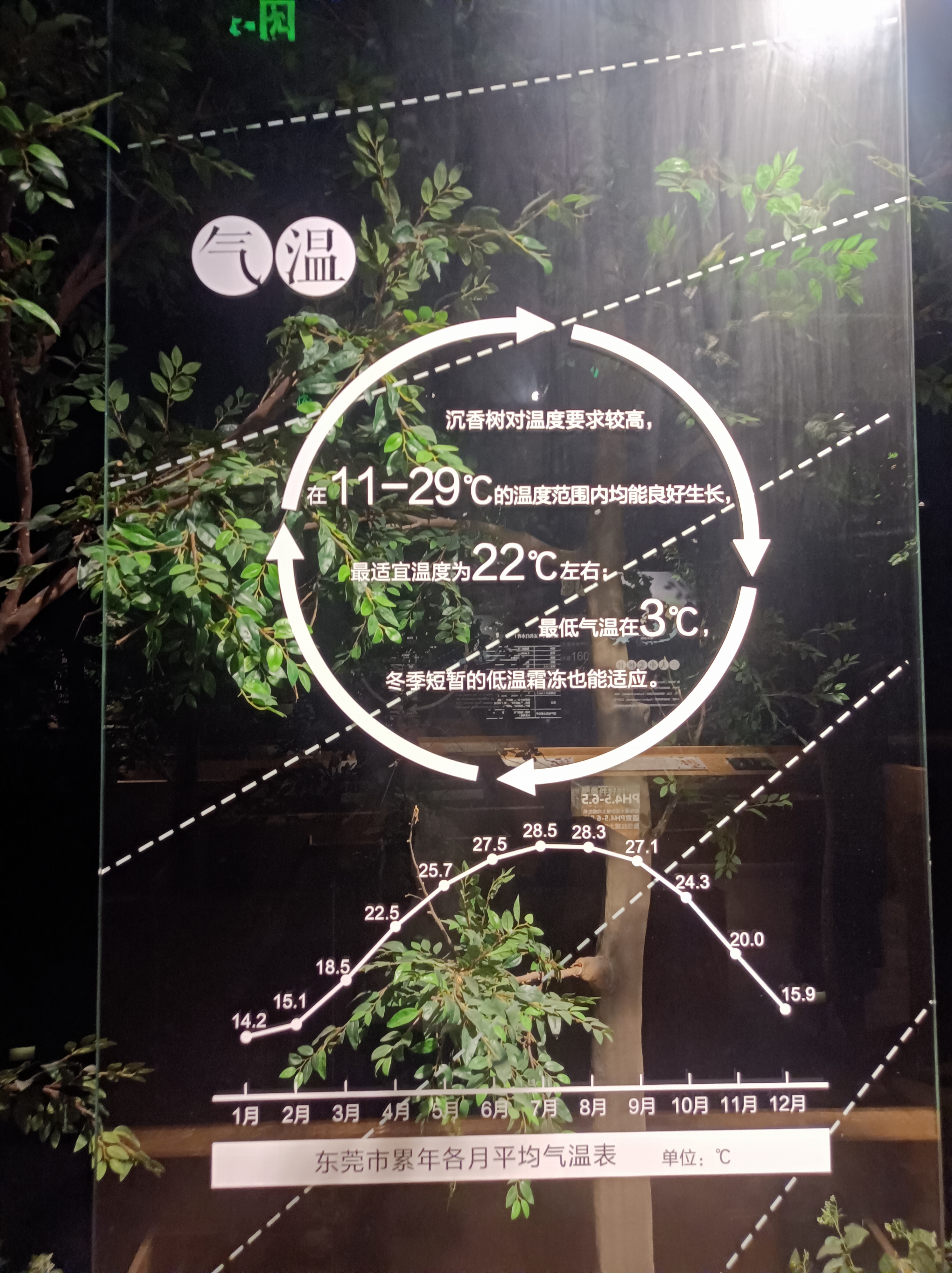 微信图片_20231114144247