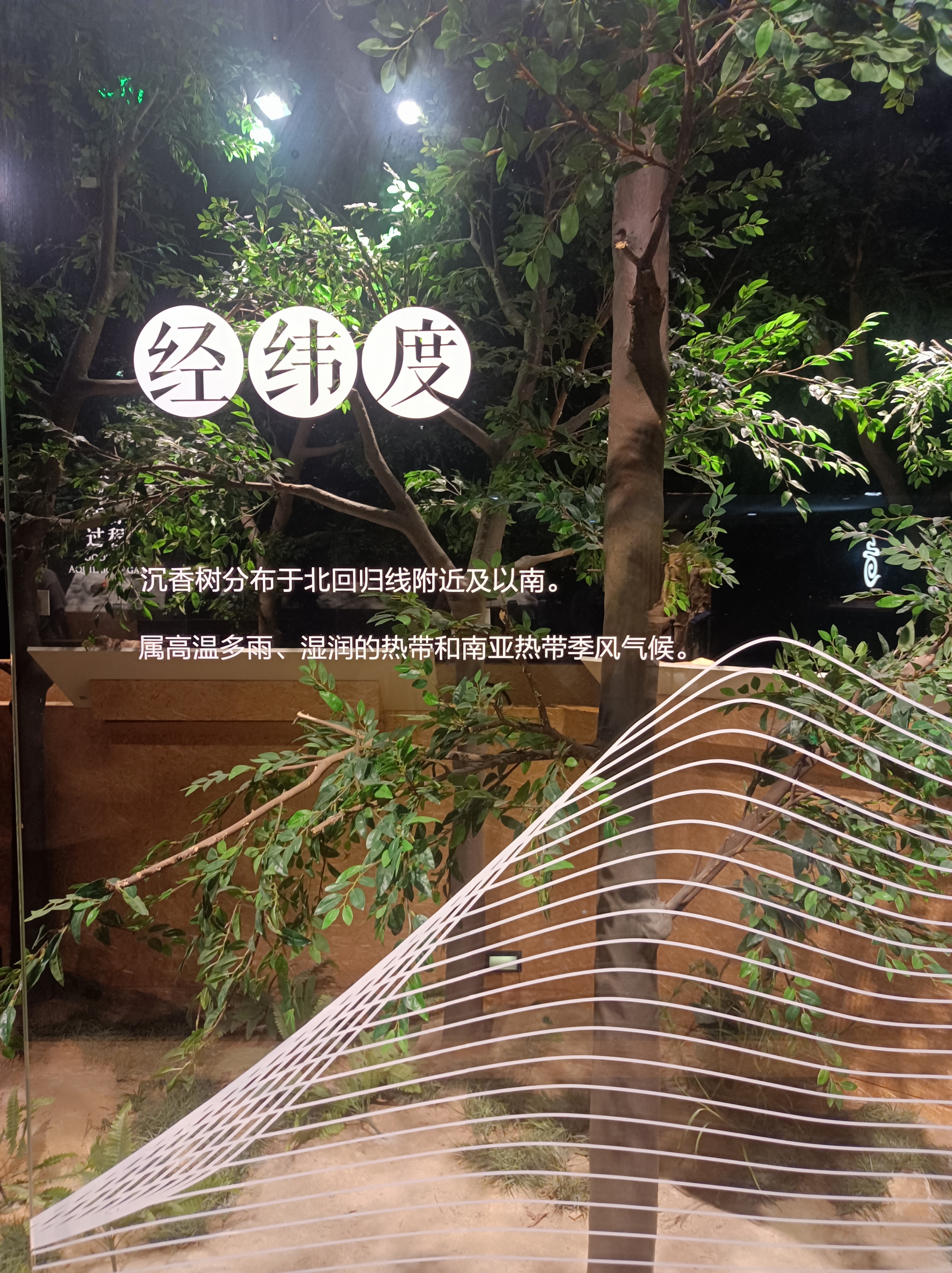 微信图片_20231114144236