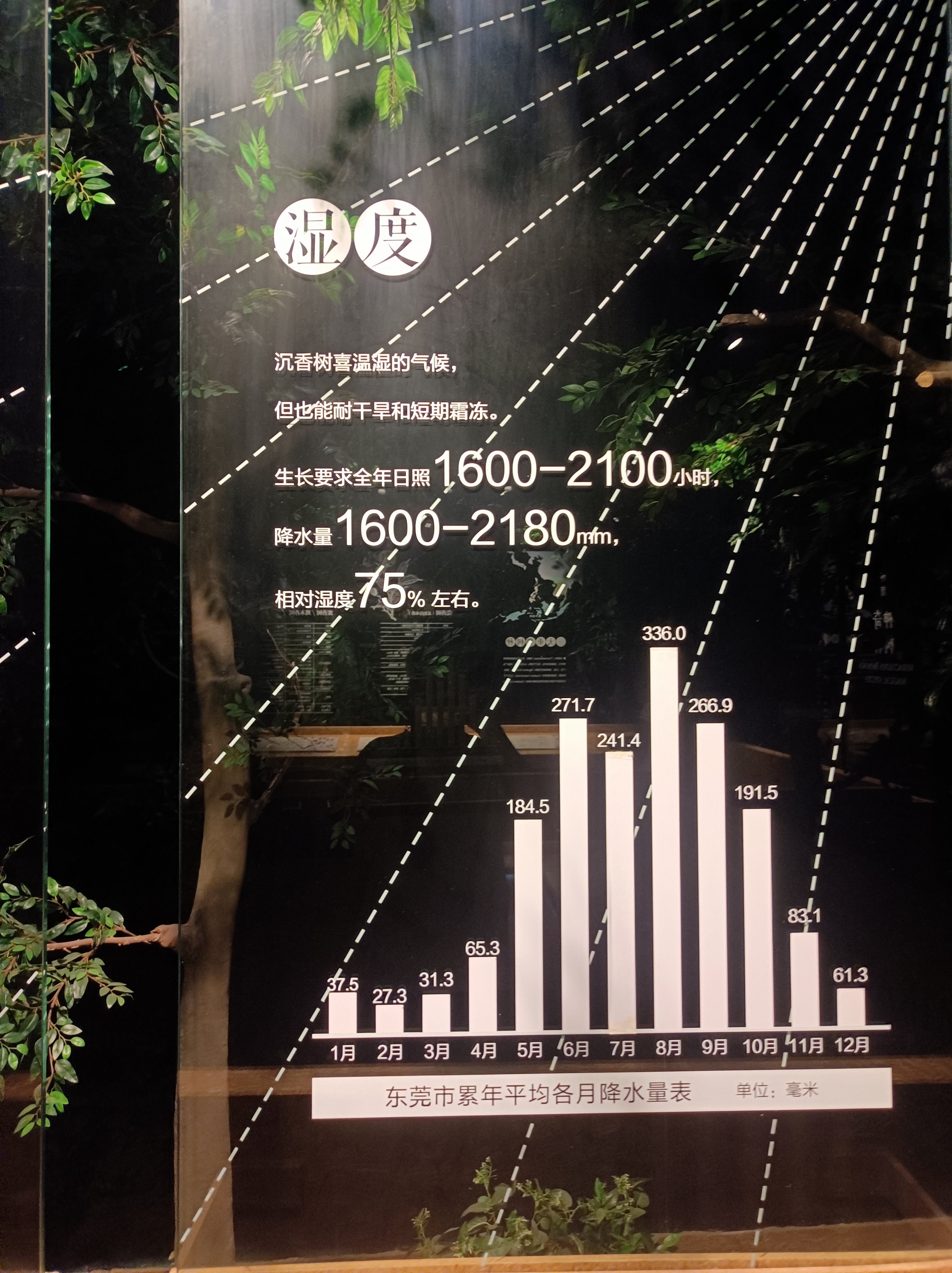 微信图片_20231114144253