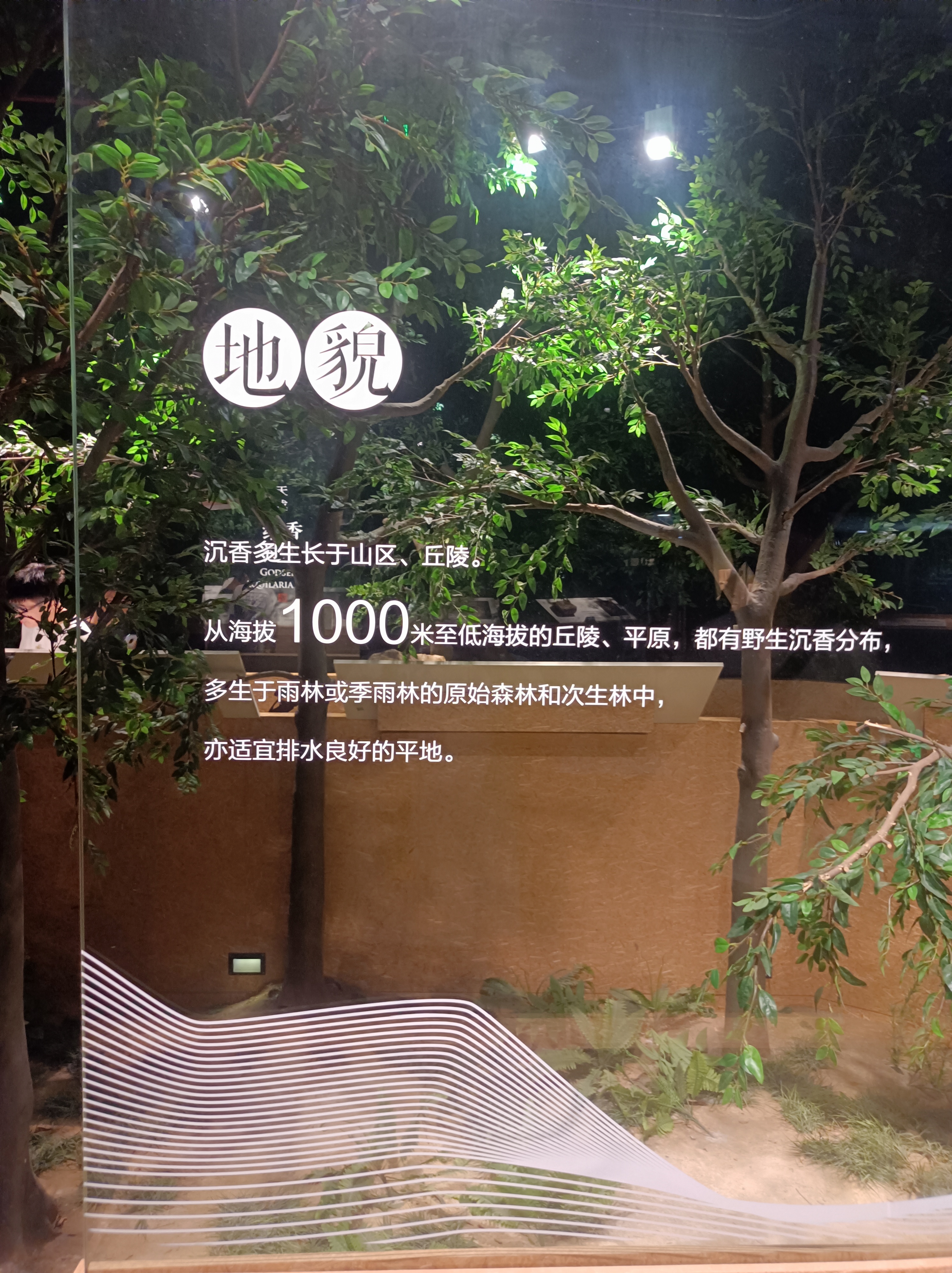 微信图片_20231114144242