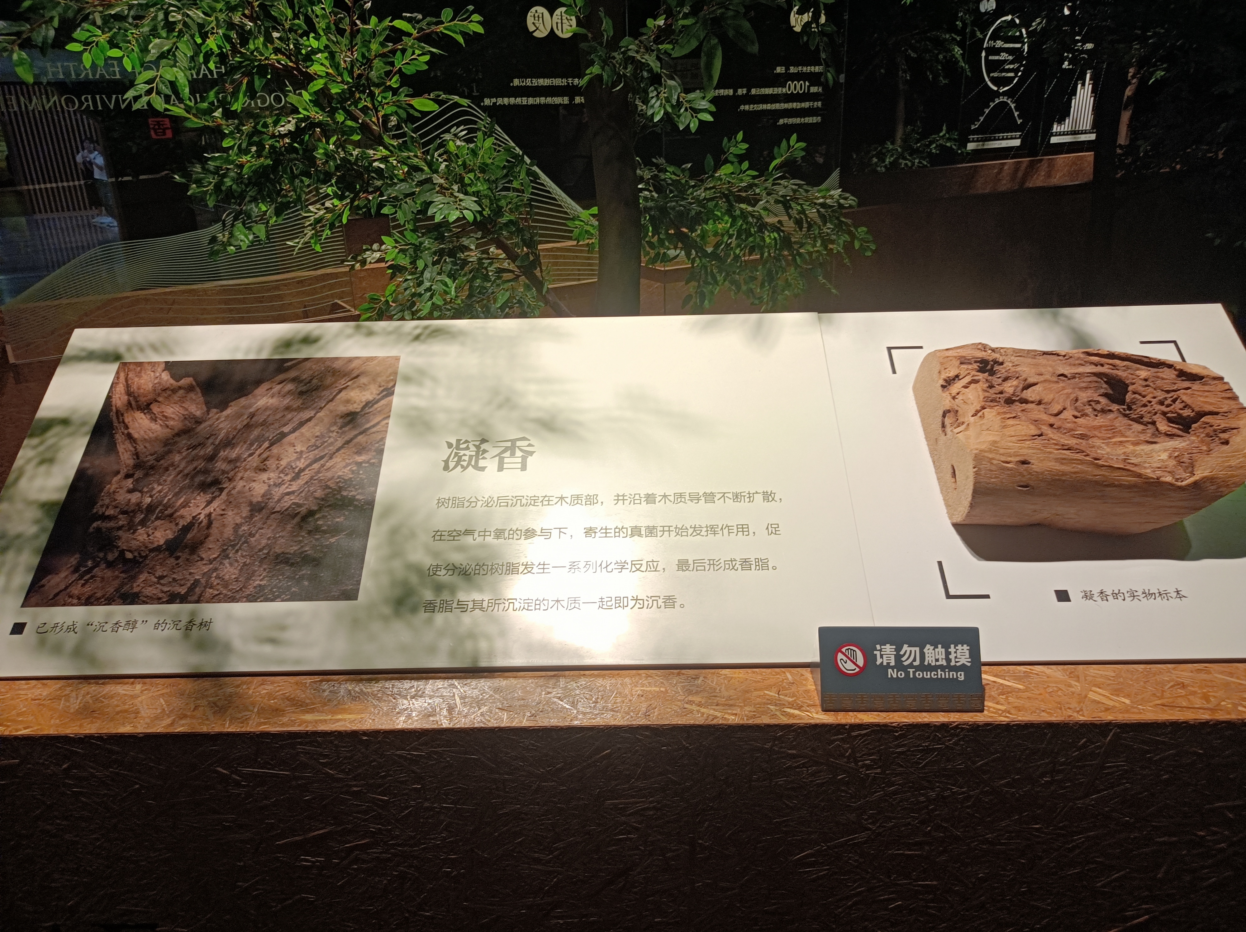 微信图片_20231114144315