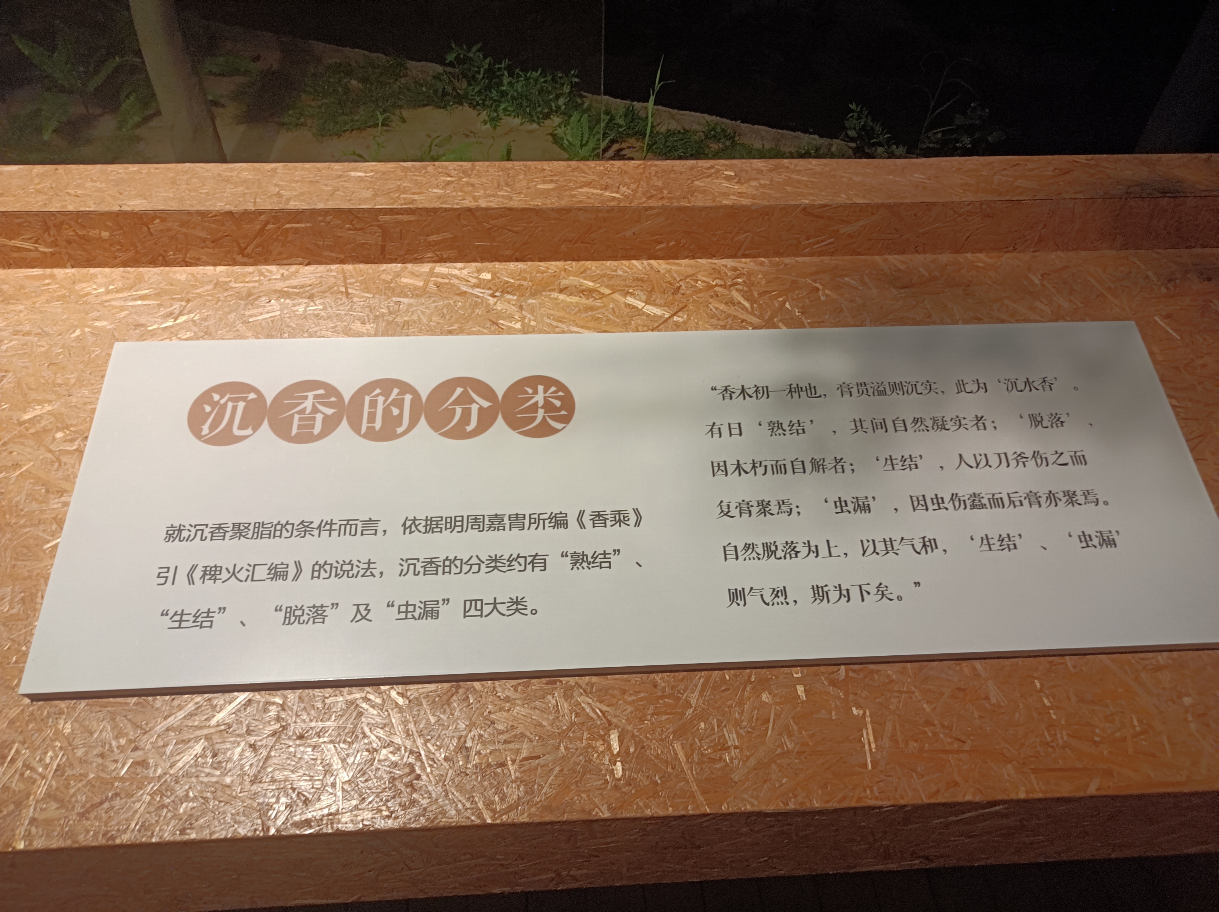 微信图片_20231114144321