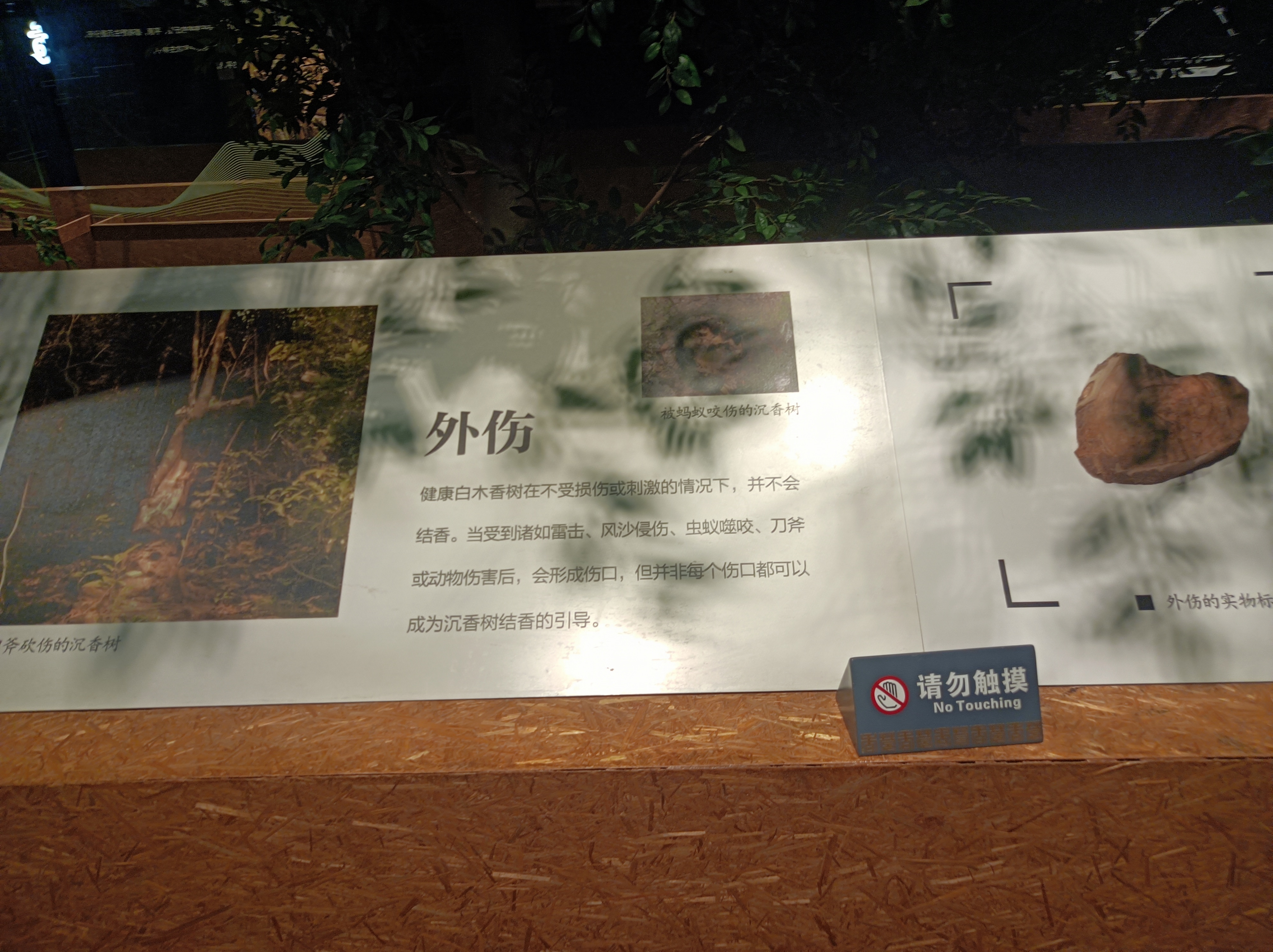 微信图片_20231114144305