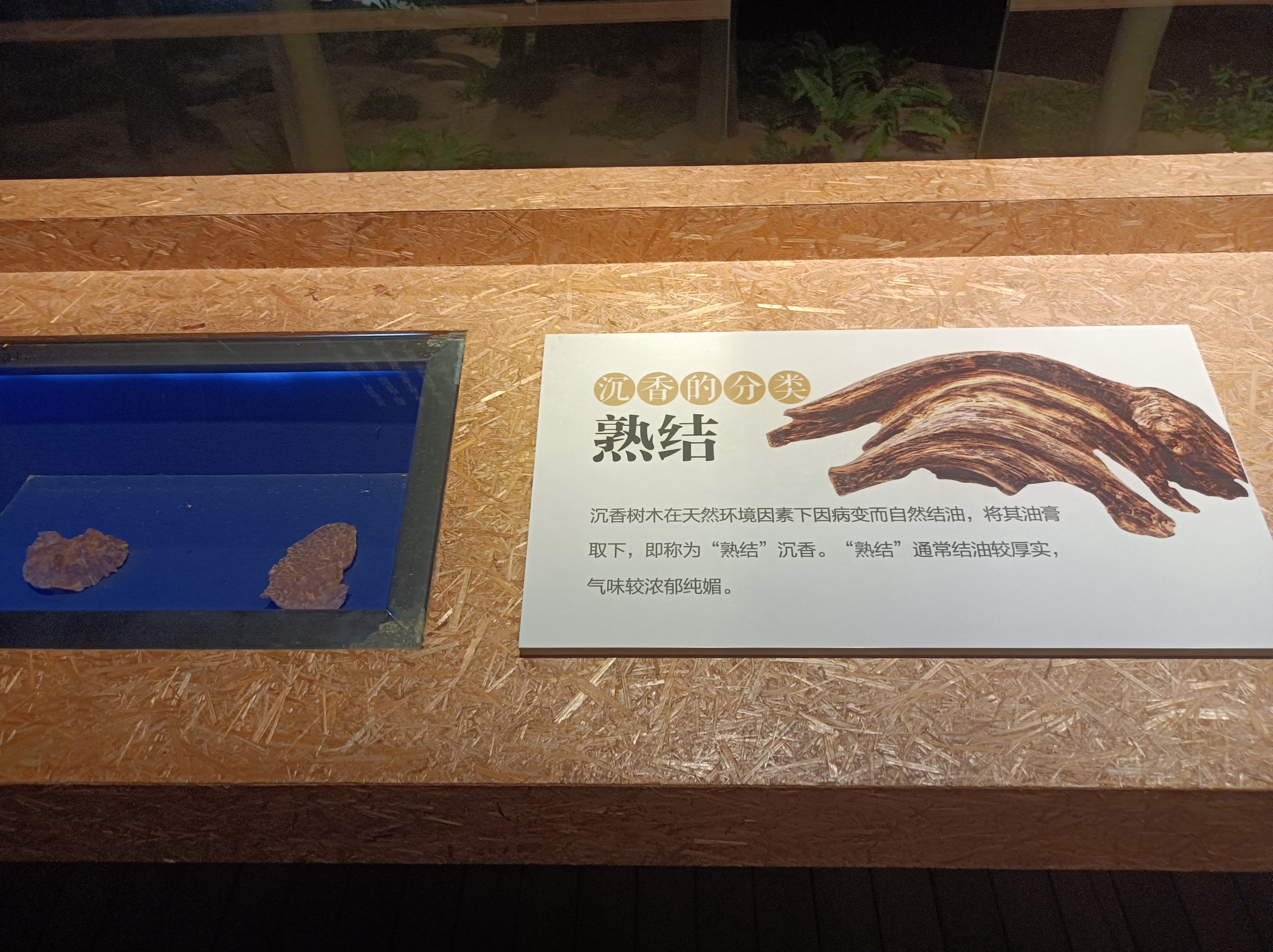 微信图片_20231114144332