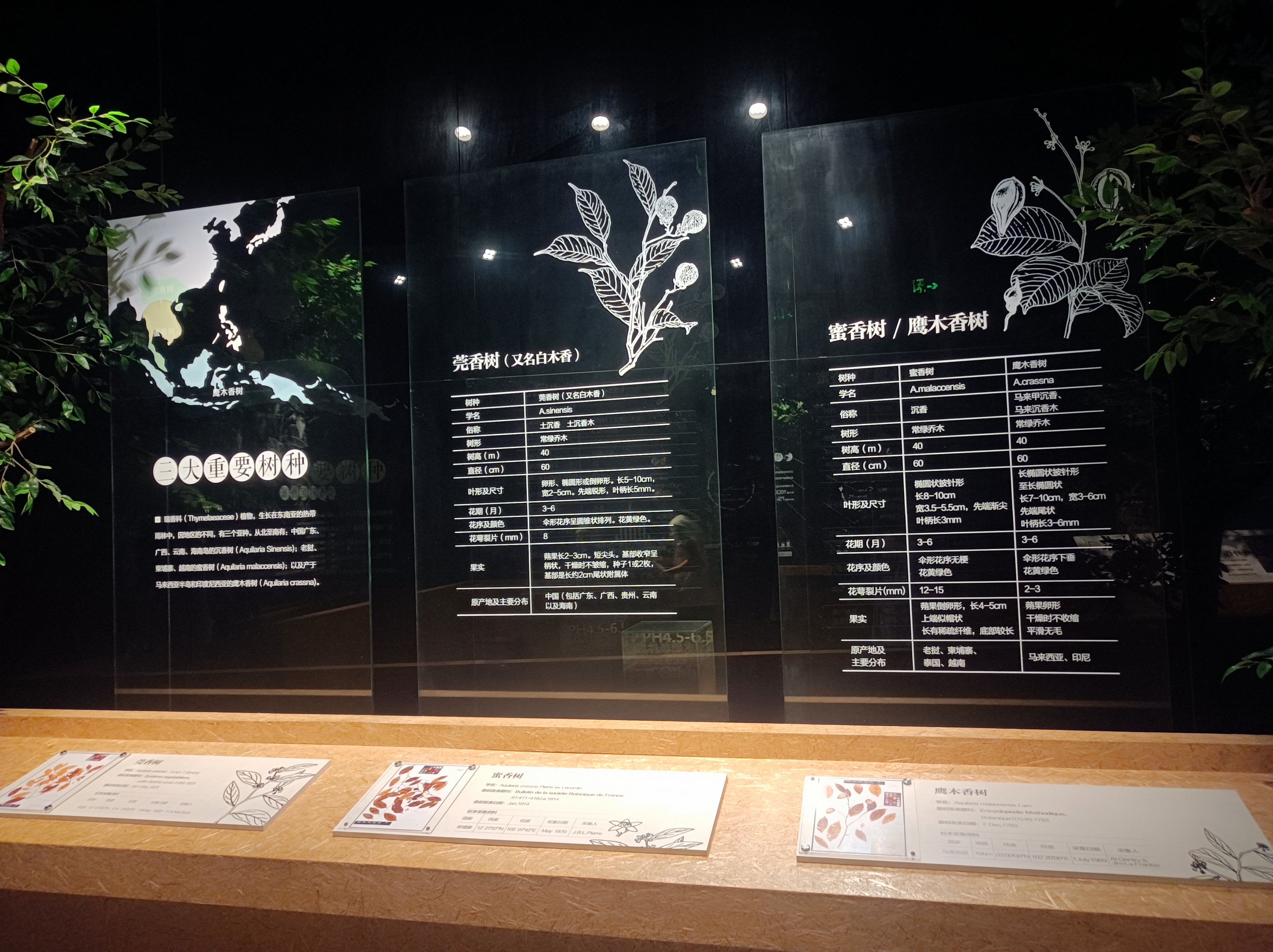 微信图片_20231114144259