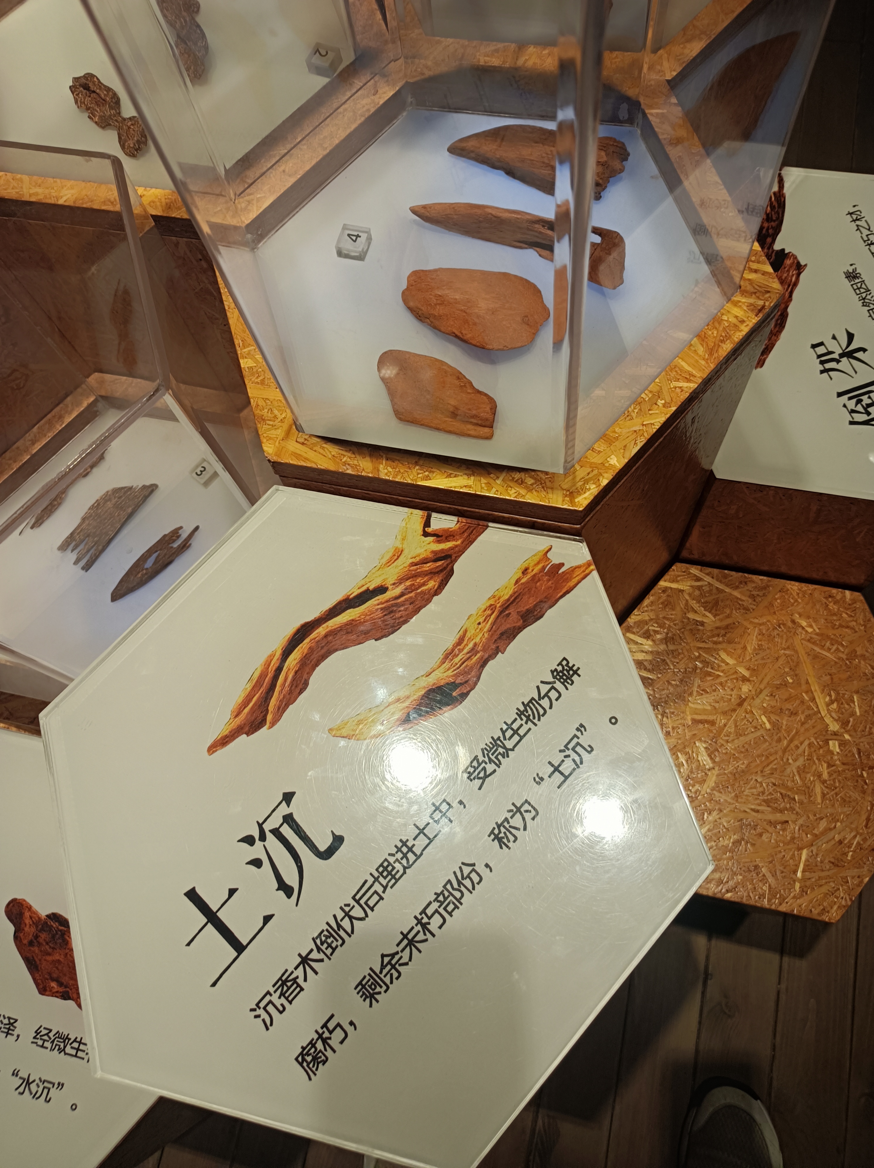 微信图片_20231114144342