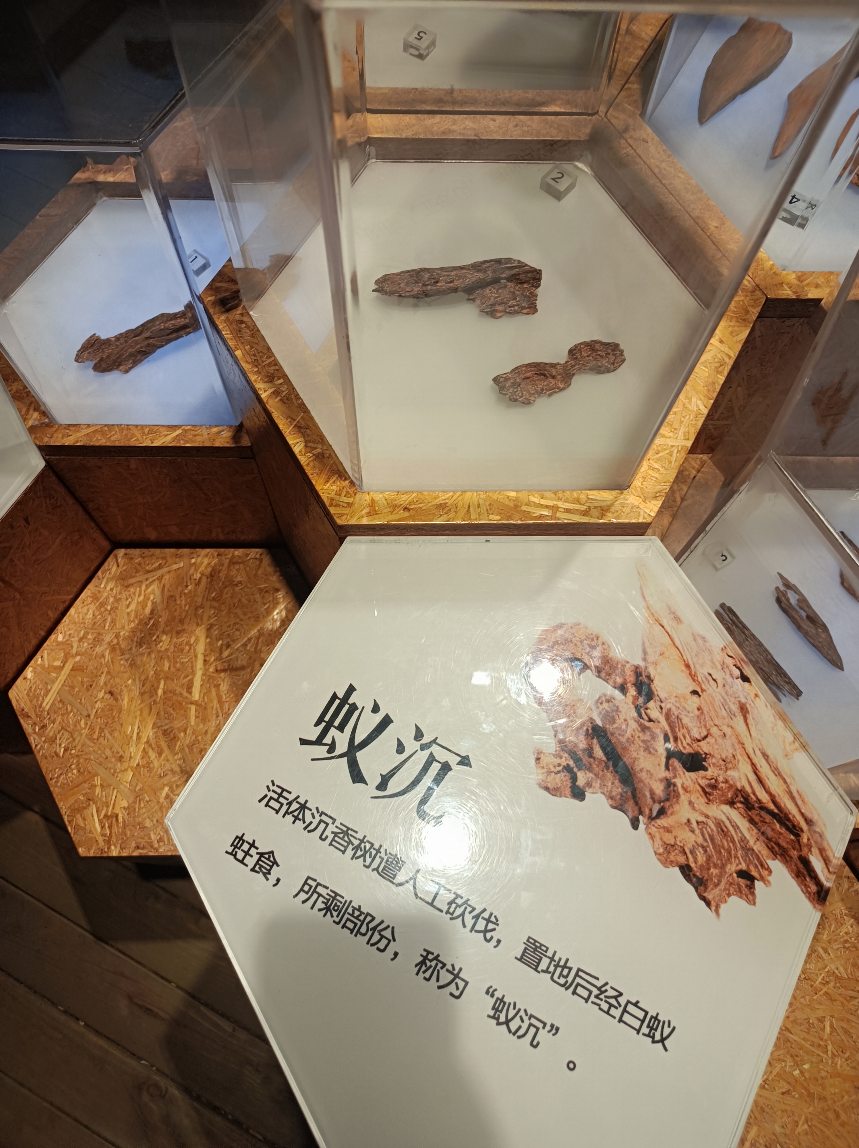 微信图片_20231114144353