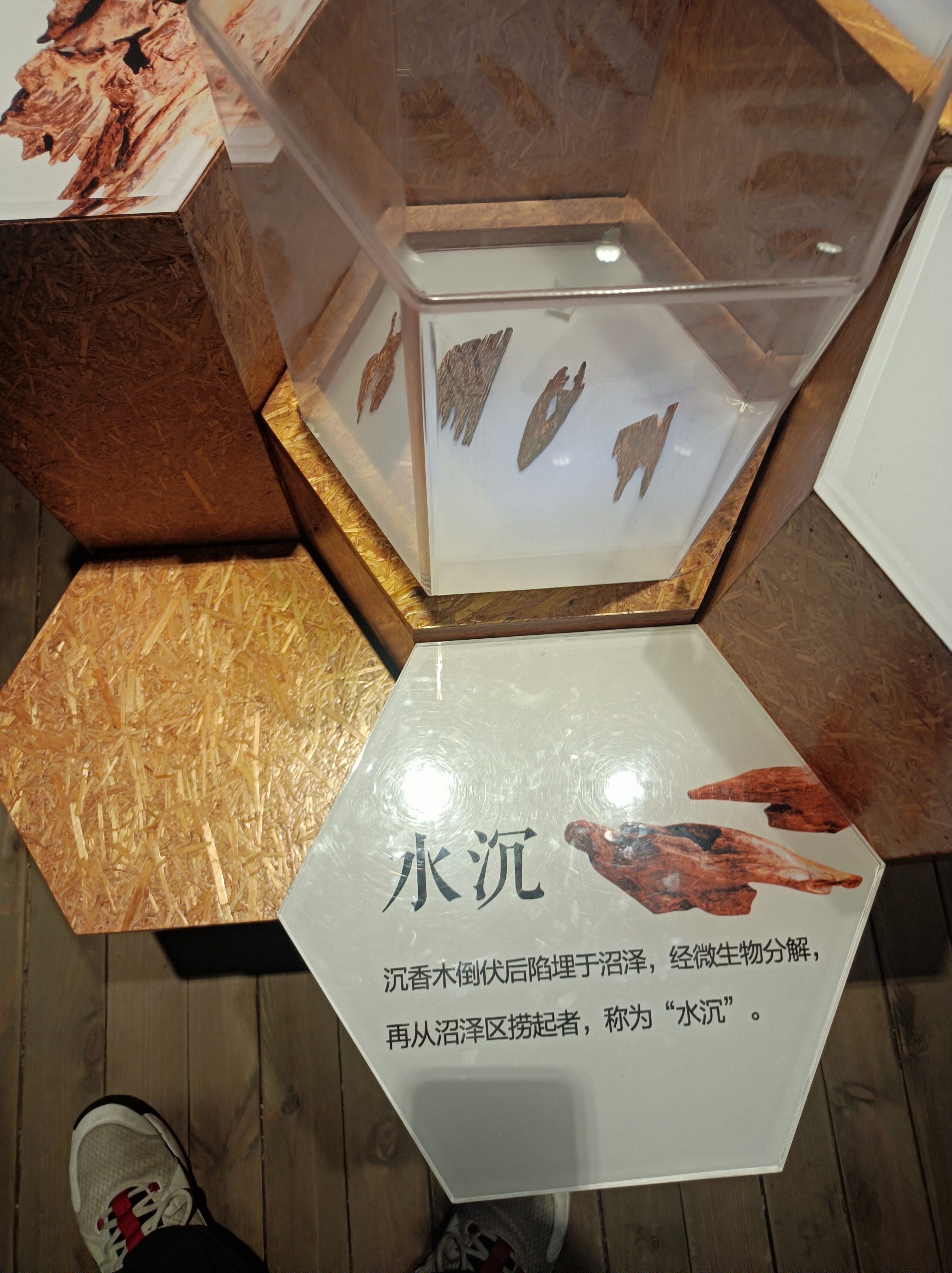 微信图片_20231114144348