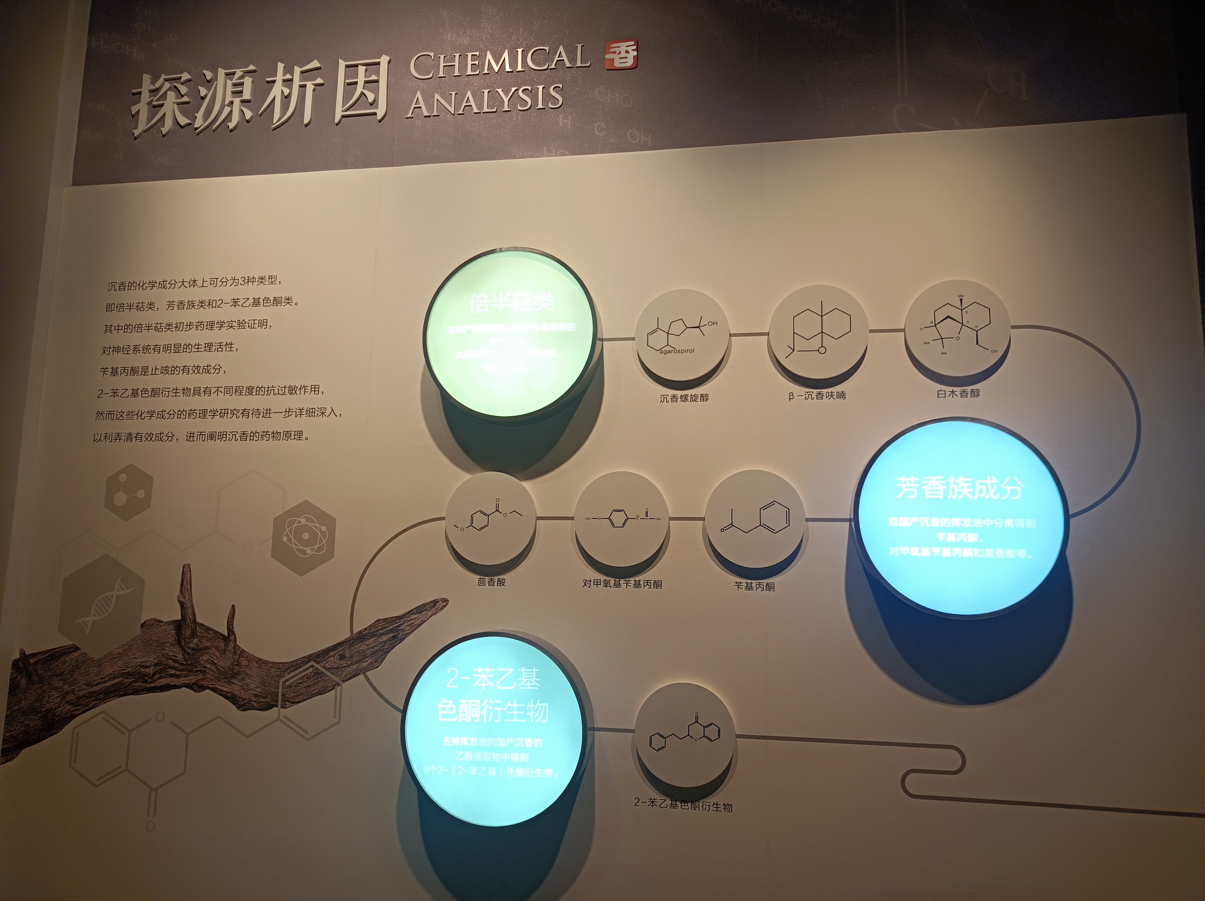 微信图片_20231114144404